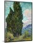 Cypresses, 1889-Vincent Van Gogh-Mounted Art Print