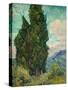 Cypresses, 1889-Vincent van Gogh-Stretched Canvas