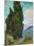 Cypresses, 1889-Vincent van Gogh-Mounted Art Print