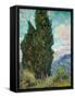 Cypresses, 1889-Vincent van Gogh-Framed Stretched Canvas