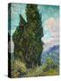 Cypresses, 1889-Vincent Van Gogh-Stretched Canvas