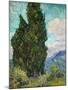 Cypresses, 1889-Vincent van Gogh-Mounted Art Print