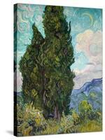 Cypresses, 1889-Vincent van Gogh-Stretched Canvas