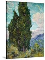 Cypresses, 1889-Vincent van Gogh-Stretched Canvas