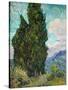 Cypresses, 1889-Vincent van Gogh-Stretched Canvas