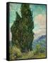 Cypresses. 1889-Vincent van Gogh-Framed Stretched Canvas