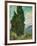 Cypresses. 1889-Vincent van Gogh-Framed Giclee Print