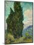 Cypresses. 1889-Vincent van Gogh-Mounted Premium Giclee Print