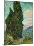 Cypresses. 1889-Vincent van Gogh-Mounted Giclee Print