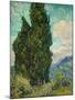 Cypresses. 1889-Vincent van Gogh-Mounted Giclee Print