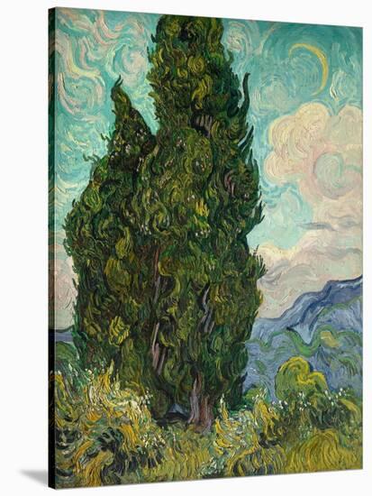 Cypresses. 1889-Vincent van Gogh-Stretched Canvas