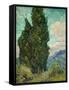 Cypresses. 1889-Vincent van Gogh-Framed Stretched Canvas
