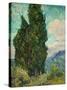 Cypresses. 1889-Vincent van Gogh-Stretched Canvas