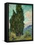 Cypresses. 1889-Vincent van Gogh-Framed Stretched Canvas