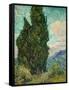 Cypresses. 1889-Vincent van Gogh-Framed Stretched Canvas