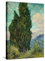 Cypresses. 1889-Vincent van Gogh-Stretched Canvas