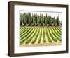 Cypresses and A Vineyard In Umbria-Dorothy Berry-Lound-Framed Giclee Print