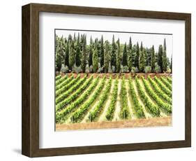 Cypresses and A Vineyard In Umbria-Dorothy Berry-Lound-Framed Giclee Print