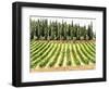 Cypresses and A Vineyard In Umbria-Dorothy Berry-Lound-Framed Giclee Print