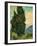 Cypresses, c.1889-Vincent van Gogh-Framed Giclee Print