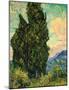 Cypresses, c.1889-Vincent van Gogh-Mounted Giclee Print