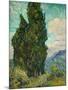 Cypresses I-Vincent van Gogh-Mounted Art Print