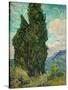 Cypresses I-Vincent van Gogh-Stretched Canvas