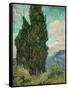 Cypresses I-Vincent van Gogh-Framed Stretched Canvas