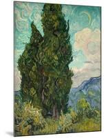Cypresses I-Vincent van Gogh-Mounted Art Print