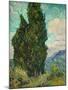 Cypresses I-Vincent van Gogh-Mounted Art Print