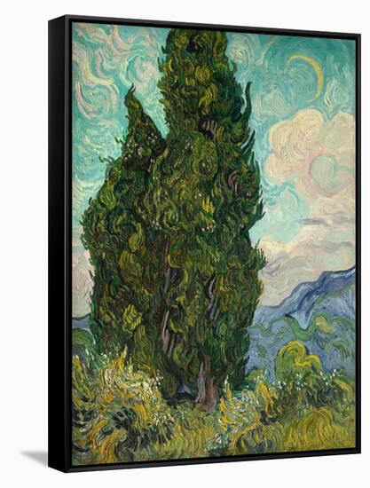 Cypresses I-Vincent van Gogh-Framed Stretched Canvas