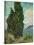 Cypresses I-Vincent van Gogh-Stretched Canvas