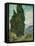 Cypresses I-Vincent van Gogh-Framed Stretched Canvas