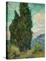 Cypresses I-Vincent van Gogh-Stretched Canvas