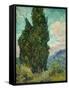 Cypresses I-Vincent van Gogh-Framed Stretched Canvas