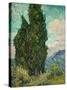 Cypresses I-Vincent van Gogh-Stretched Canvas