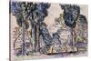 Cypresses in Sainte-Anne (Sainttrope)-Paul Signac-Stretched Canvas