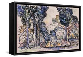 Cypresses in Sainte-Anne (Sainttrope)-Paul Signac-Framed Stretched Canvas