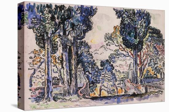 Cypresses in Sainte-Anne (Sainttrope)-Paul Signac-Stretched Canvas