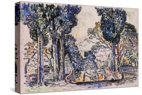 Cypresses in Sainte-Anne (Sainttrope)-Paul Signac-Stretched Canvas