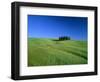 Cypresses on a field in the Tuscany-Herbert Kehrer-Framed Photographic Print