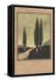 Cypresses Woodcut-null-Framed Stretched Canvas
