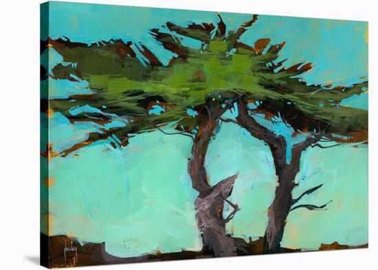 Cypresses-Paul Bailey-Stretched Canvas