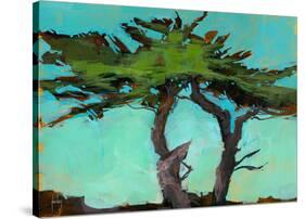 Cypresses-Paul Bailey-Stretched Canvas