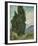 Cypresses-Vincent Van Gogh-Framed Giclee Print