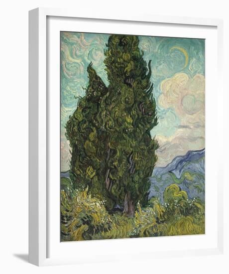 Cypresses-Vincent Van Gogh-Framed Giclee Print