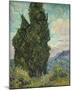 Cypresses-Vincent Van Gogh-Mounted Giclee Print