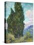 Cypresses-Vincent van Gogh-Stretched Canvas