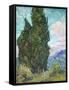 Cypresses-Vincent van Gogh-Framed Stretched Canvas