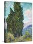 Cypresses-Vincent van Gogh-Stretched Canvas